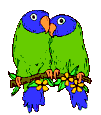 parrotsvertbleu2.gif